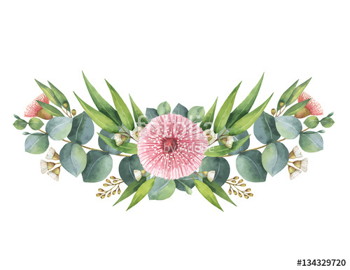 500x385 Watercolor Vector Wreath With Green Eucalyptus Leaves And Branches