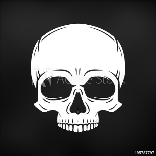 500x500 Human Evil Skull Vector. Jolly Roger Logo Template. Death T Shirt
