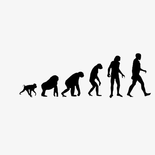 500x500 Evolution Png, Vectors, Psd, And Clipart For Free Download Pngtree