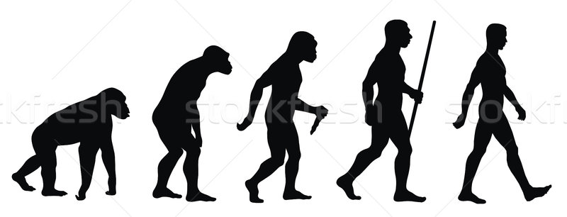 800x306 Evolution Vector Illustration Dimitar Matinov (Oorka) ( 2593615
