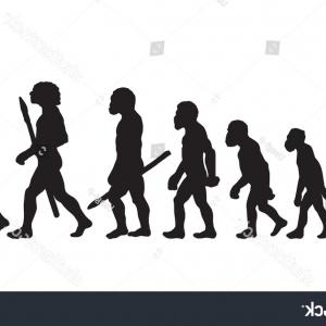 300x300 Human Evolution Vector Silhouette Illustration Man Sohadacouri