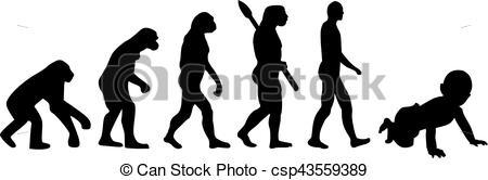 450x166 Baby Evolution Vector