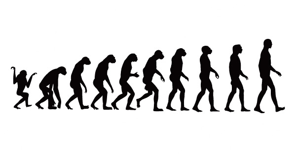 600x313 Elements Of Process Of Human Evolution Vector Free Download