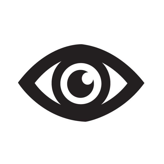 660x660 Eye Icon Vector