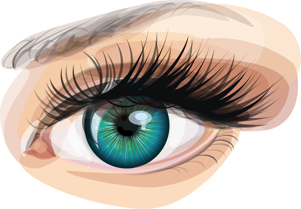 600x417 Eye Realistic Free Vector In Adobe Illustrator Ai ( .ai ) Vector