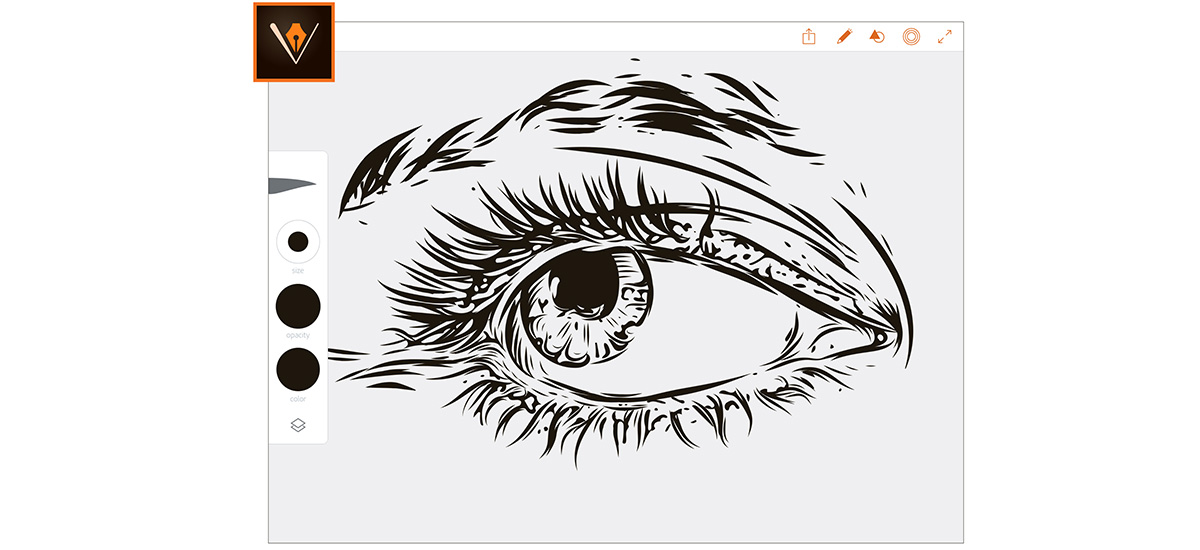 Eye Illustration Vector at GetDrawings | Free download