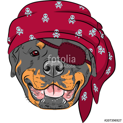 500x500 Vector Dog Rottweiler Pirate, Wearing Red Bandana And Eye Patch
