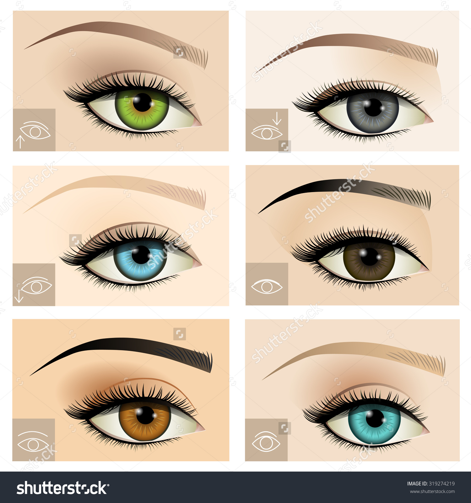 1500x1600 Eyelashes For Round Eyes Clipart