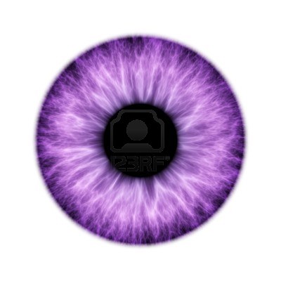 400x400 Iris Clipart Eye Vector