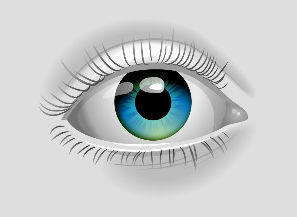 1024x750 Vector Eye