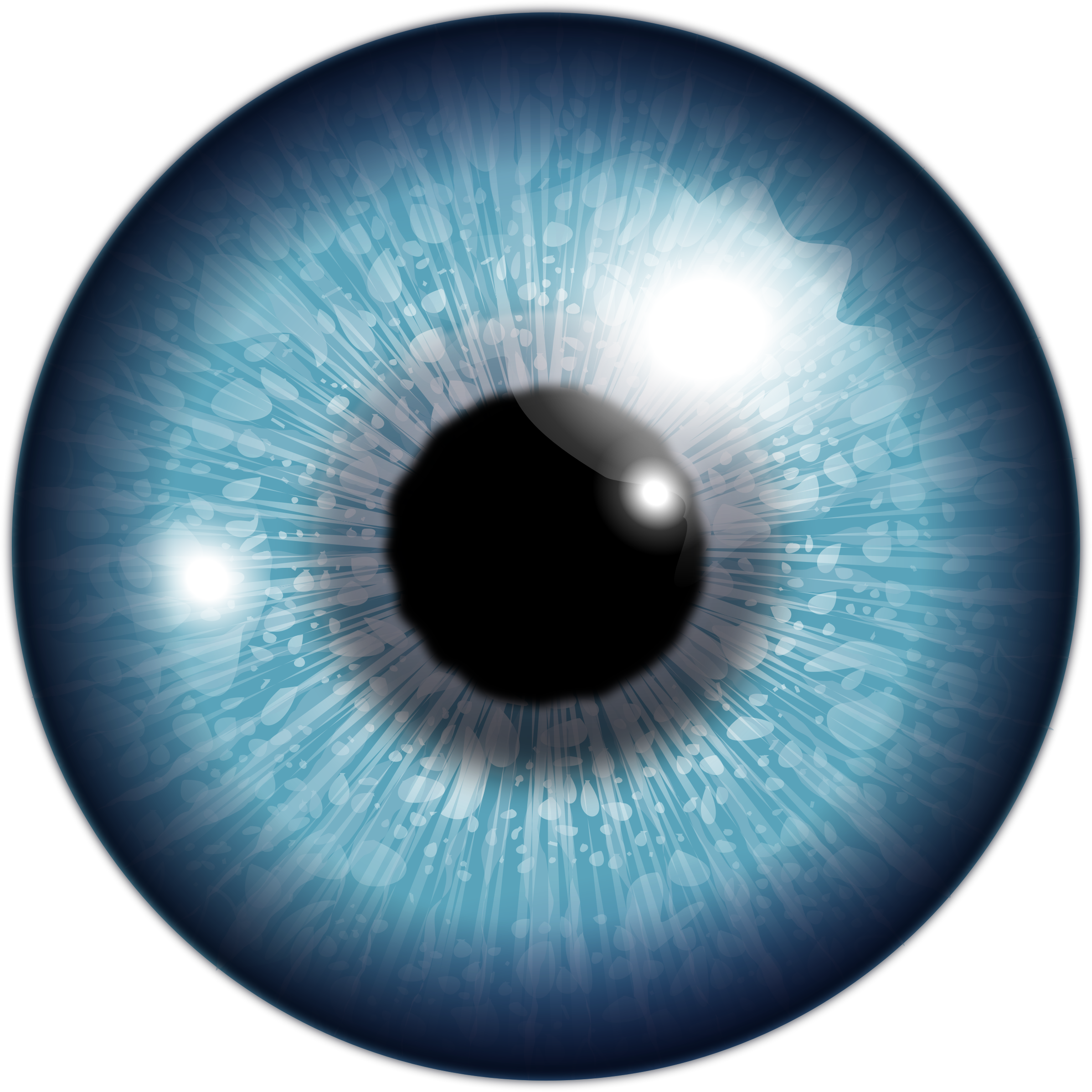2396x2396 Eyeball Vector Art Image