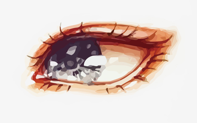 650x406 Vector Eyes, Eye, Watercolor, Eye Vector Png And Vector For Free
