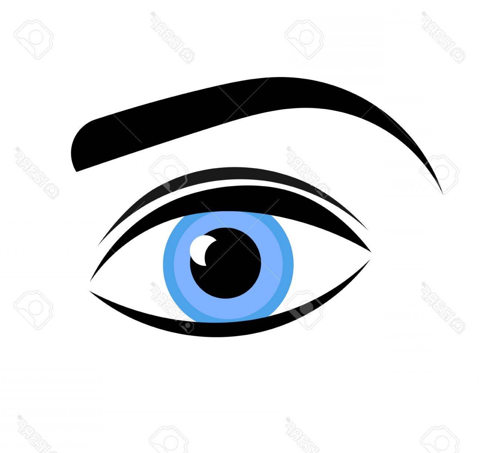 1560x1474 Woman Eye Vector Arenawp