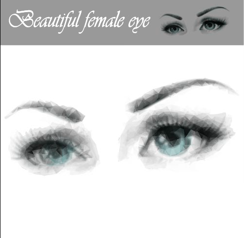 500x488 Beautiful Female Eye Vector Graphics Free Download