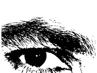 310x233 Eye Vector Illustration.eps Free Vectors Ui Download