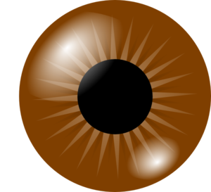 300x273 Iris Clipart Eye Vector