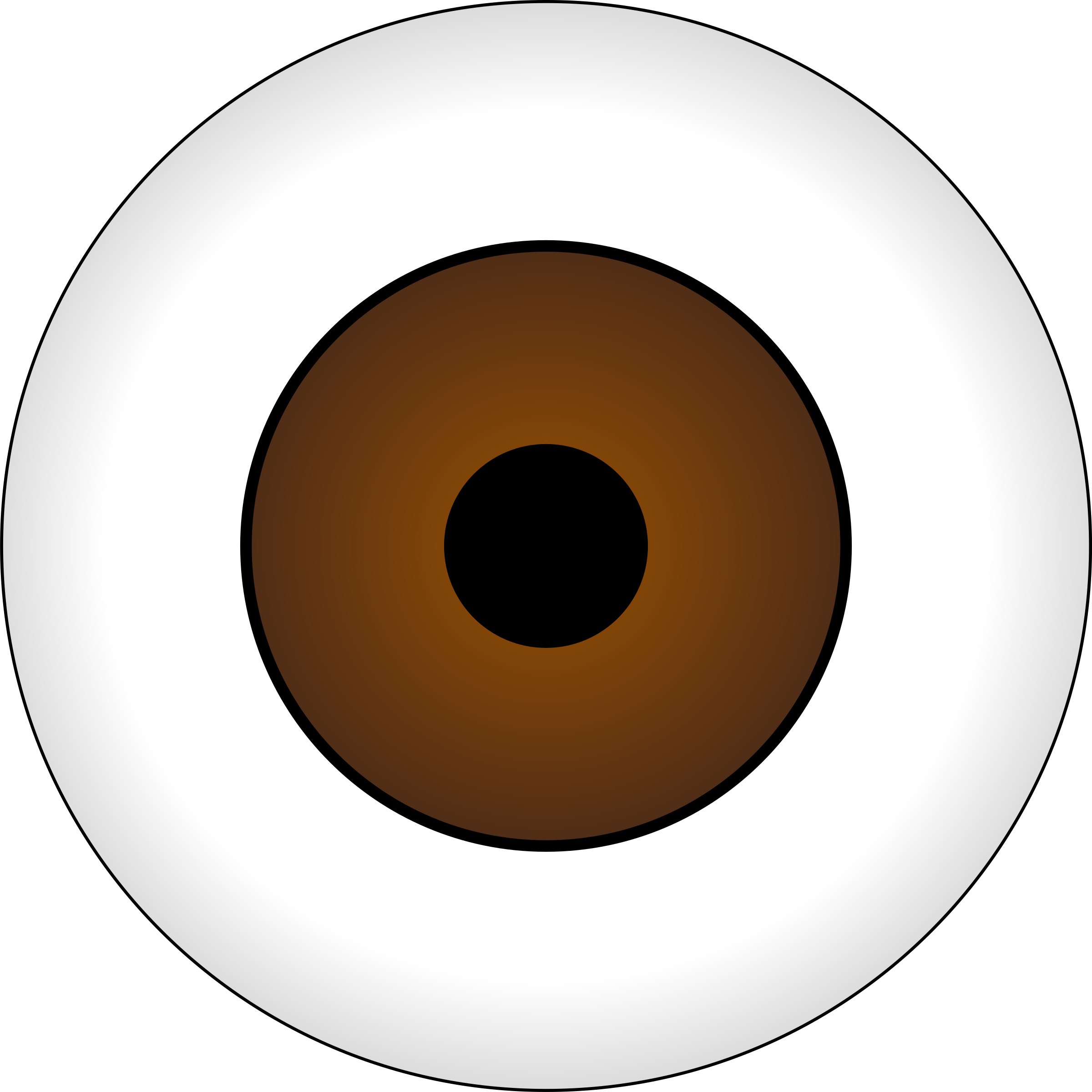 2400x2400 Vector Eye