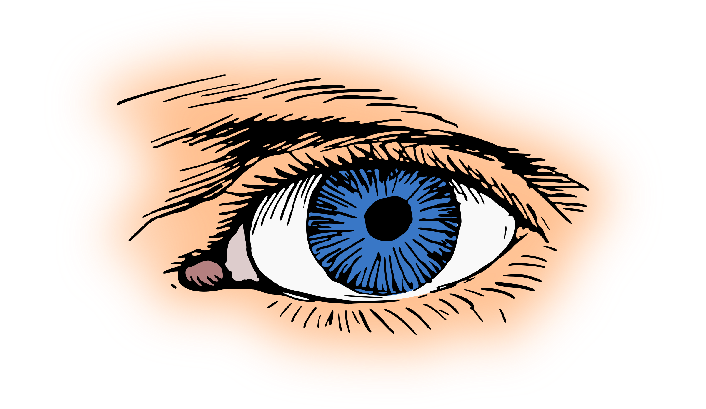 2400x1391 Blue Eye Vector Clipart Image