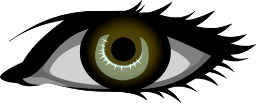 500x201 Brown Eye Vector Image Public Domain Vectors