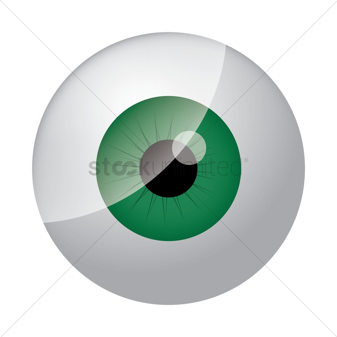 1300x1300 Eyeball Vector Image