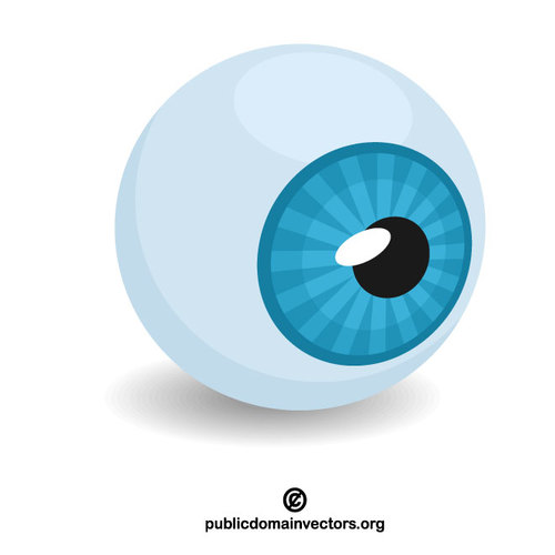 500x500 Eyeball Vector Clip Art Graphics Public Domain Vectors
