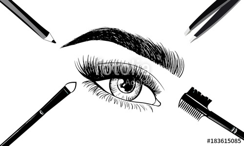 Eyebrow Vector At GetDrawings | Free Download