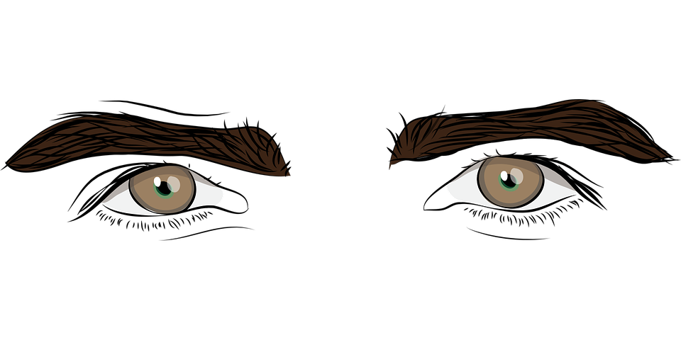 960x480 Collection Of Free Eyebrow Vector Clip Art. Download On Ubisafe