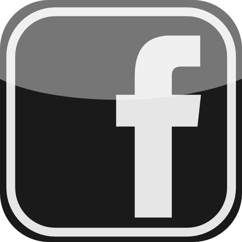 800x800 Results For Facebook Icon Black And White Vector