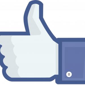 300x300 Best Free Facebook Icon Vector Image Orangiausa
