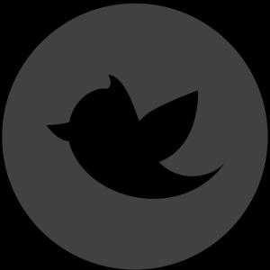 300x300 White Facebook Logo Transparent Background Arenawp