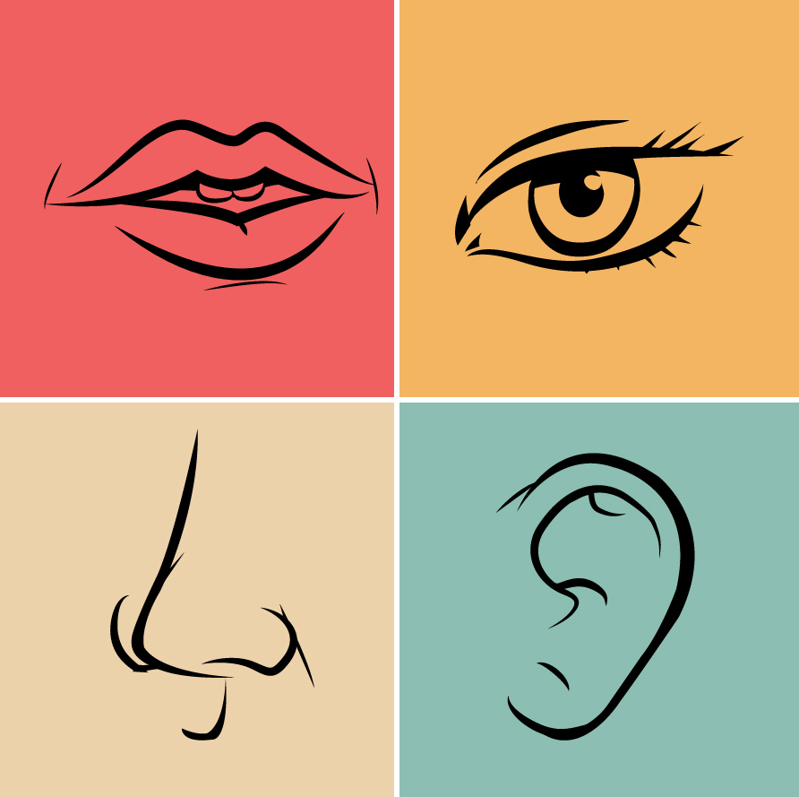 892x889 Facebook Twitter Instagram Icons Vector