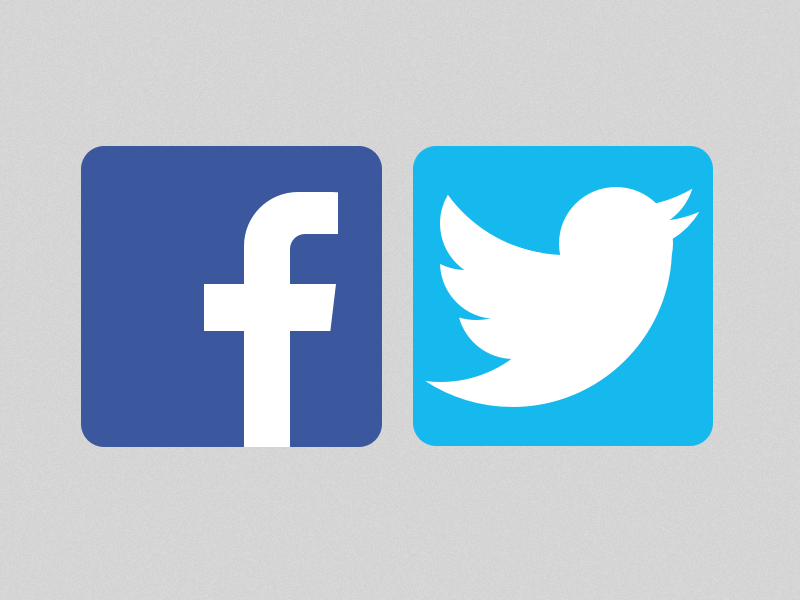 800x600 Twitter Facebook Vector Icons