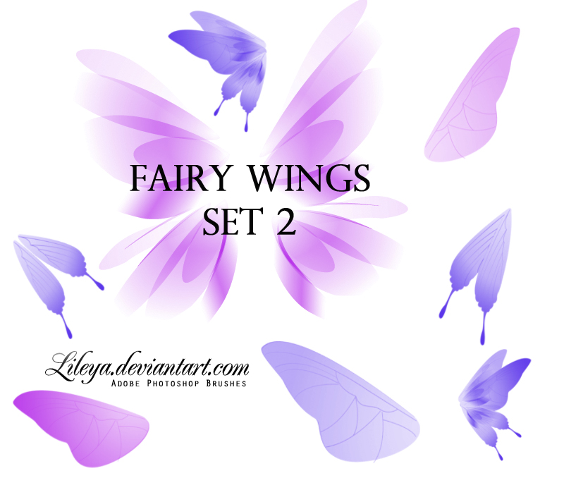800x695 Fairy Wings Ps Brushes Free Download