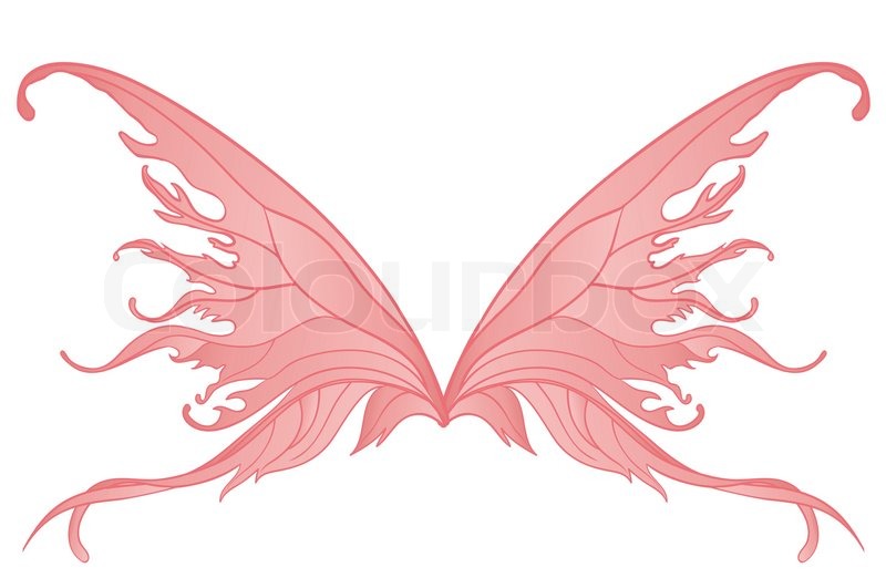 800x522 Pair Of Pink Fairy Wings Stock Vector Colourbox