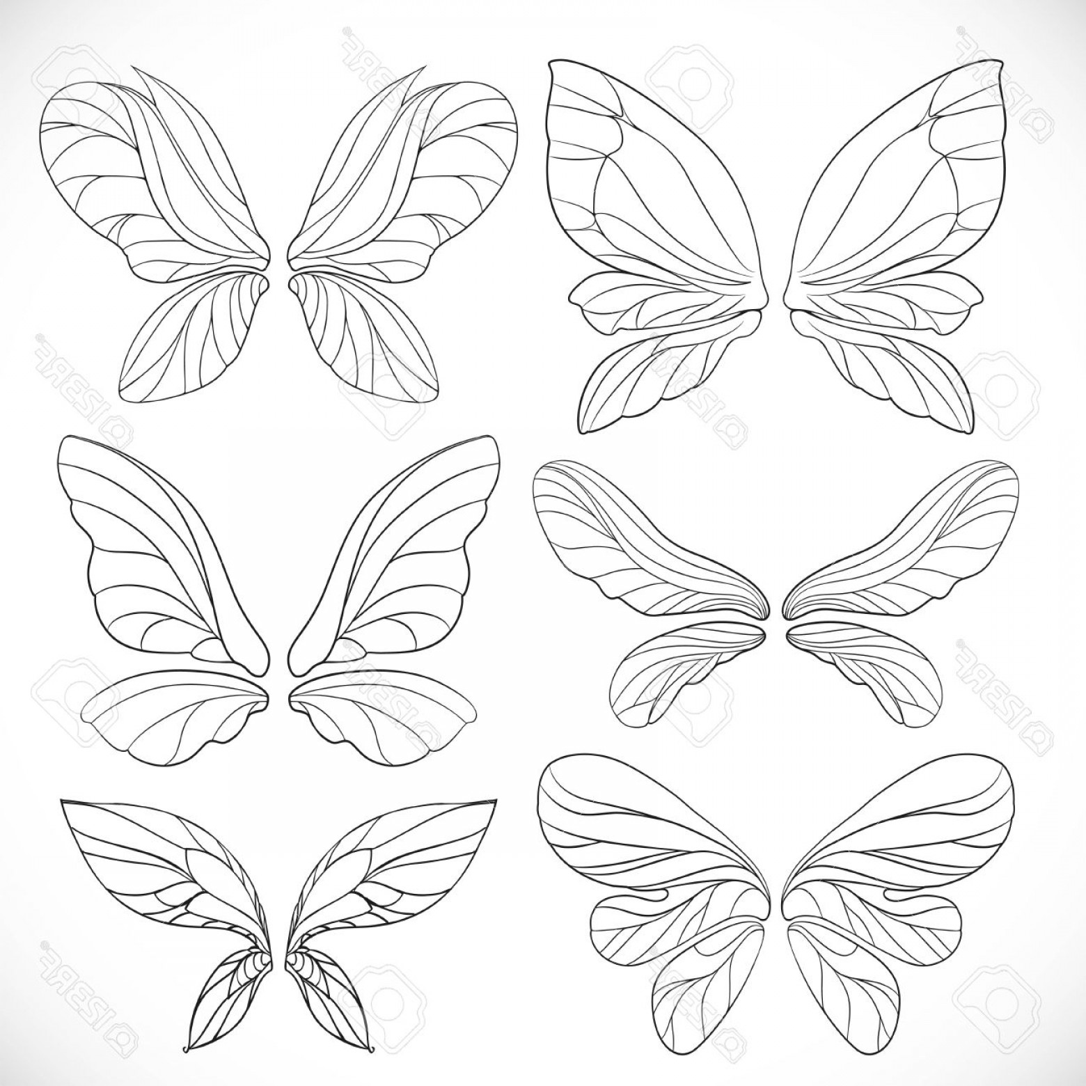 1560x1560 Photostock Vector Fairy Wings Outlines Set Isolated On A White