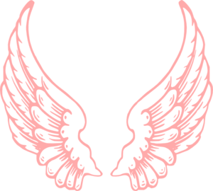 300x270 Collection Of Free Wings Vector Fairy. Download On Ubisafe