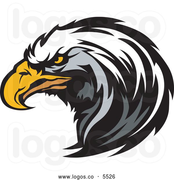 600x620 Falcon Logo Vector