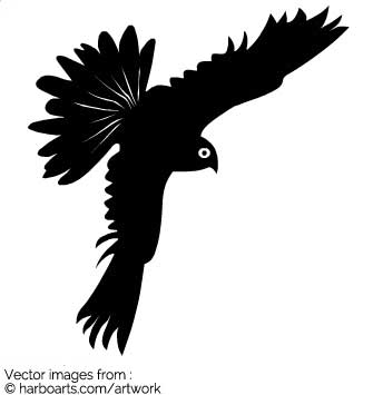 335x355 Download Falcon