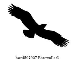 245x194 6,345 Falcon Vector Posters And Art Prints Barewalls