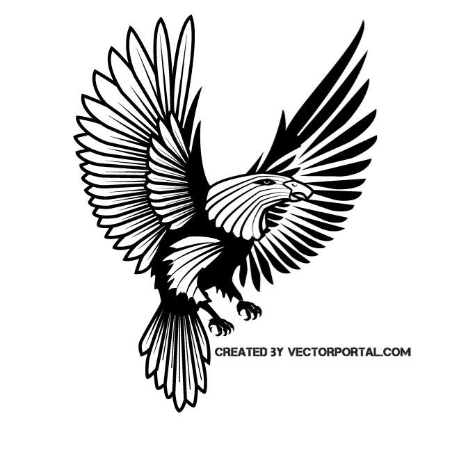 660x660 Falcon Vector Clip Art