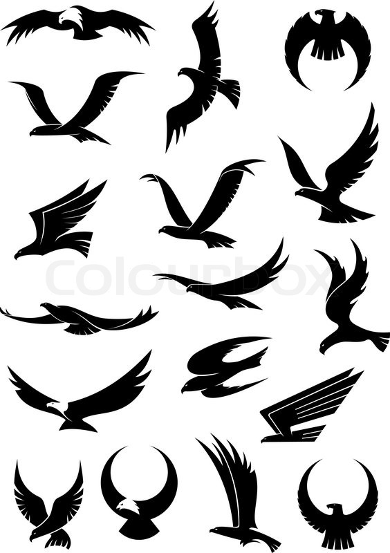 564x800 Flying Eagle, Falcon And Hawk Vector Logo Icons Showing Different