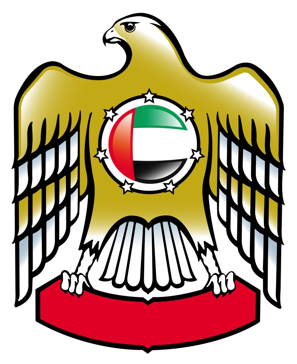 977x1199 Free Falcon Vector Stock Photo