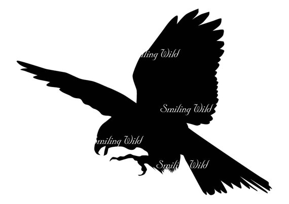 570x403 Falcon Silhouette Svg Clipart Cutout Falcon For Lasercut Etsy