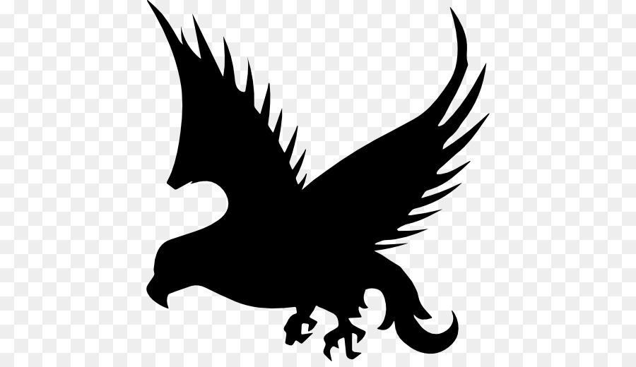 900x520 Bird Computer Icons Falcon