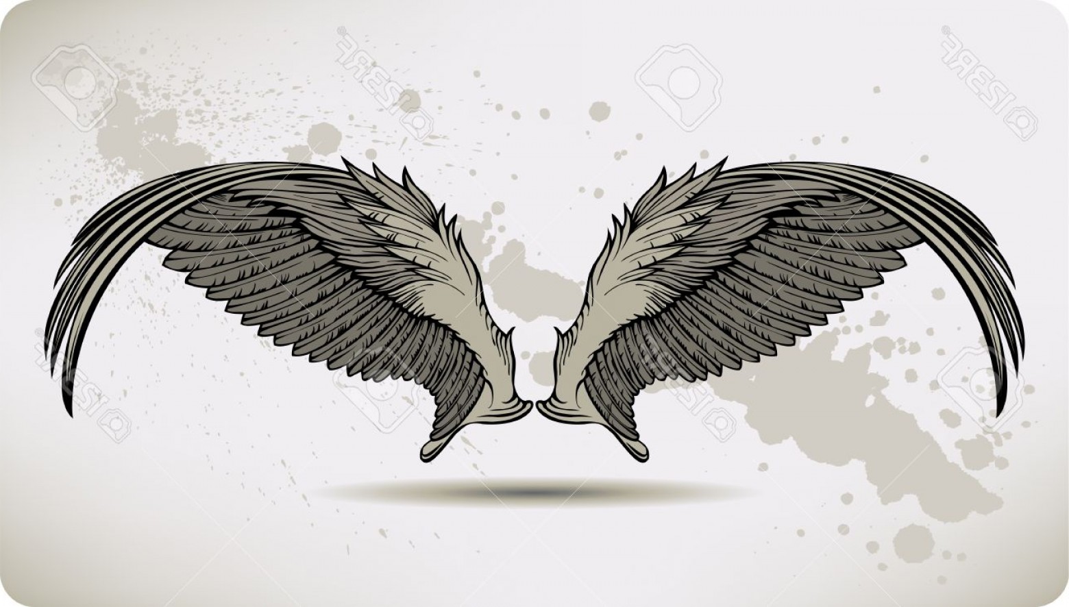 1560x886 Drawn Wings Falcon Wing