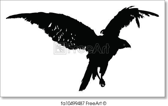 560x355 Free Art Print Of Falcon