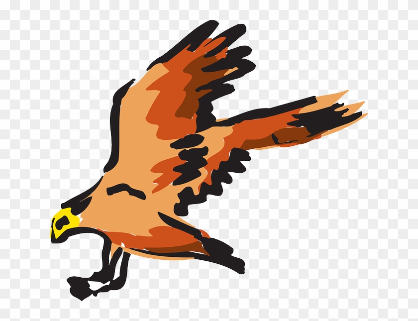 840x645 Orange, Bird, Flying, Wings, Art, Animal, Feathers