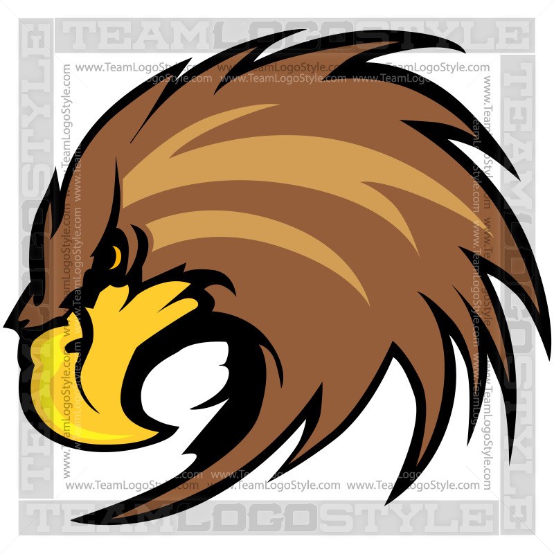 800x800 Vector Falcon Head