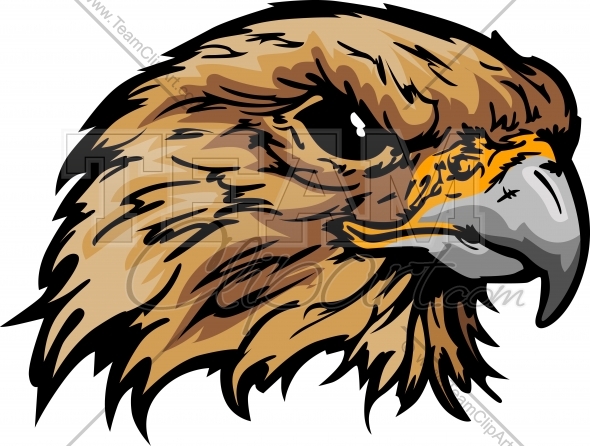 590x446 Clipart Falcon Clipart Free Download