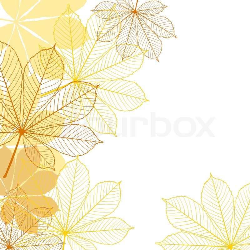 800x800 Background With Falling Autumn Leaves Vector Illustration Stock